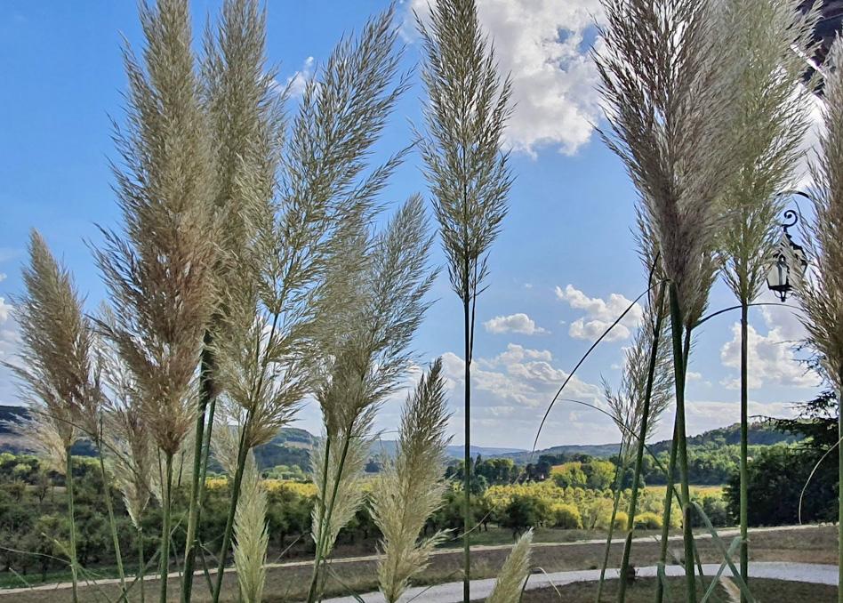Domaine Lapeze Apartment Montcuq Bagian luar foto